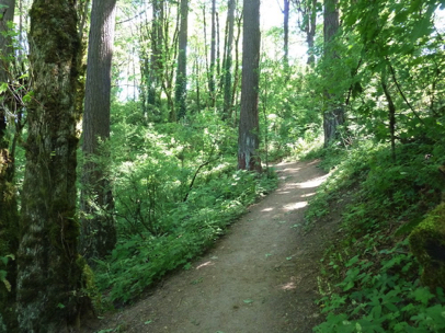 As with the uphill segment there are a number of places where the trail is smooth